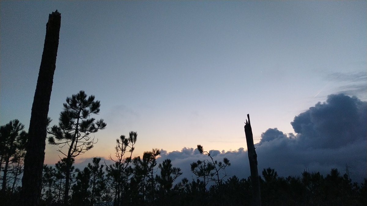 ale_ghiggi's tweet photo. A un anno dal giorno di migrazione #gru più importante per la #Liguria il meteo ci restituisce un quadro diverso: caldo, calma di vento, nubi su tutto il golfo e la riviera. Questa è migrazione: effimera, imprevedibile. Segnalate le Vs gru a #GruNelBeigua @varazze @ComunediGenova https://t.co/UNuhO4nVGt