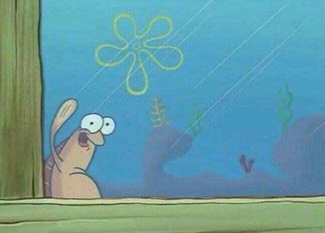 ccinternadas's tweet image. -☁️