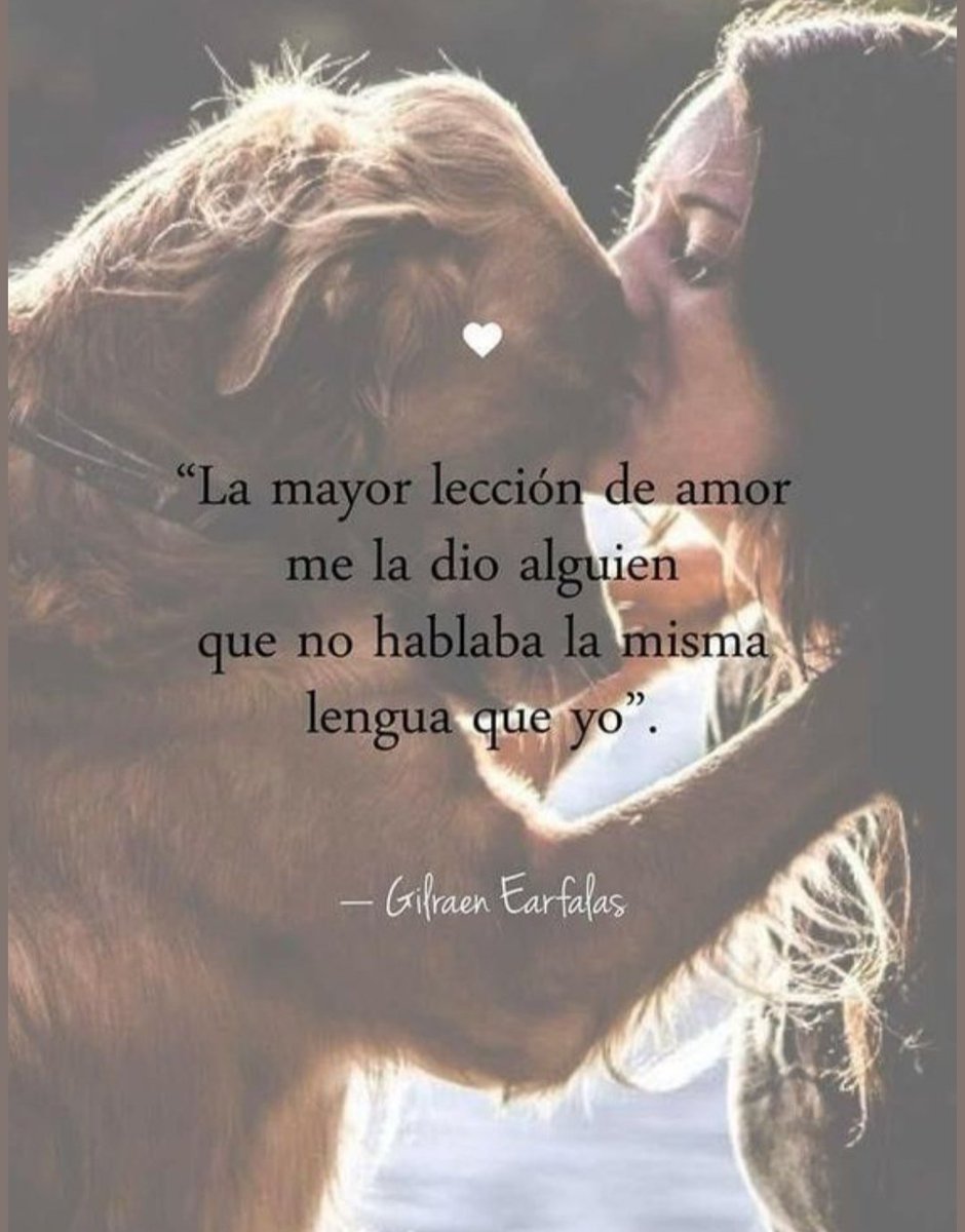 bac_org's tweet photo. ¿El dolor por la pérdida de una mascota puede llegar a ser como el dolor por la pérdida de un familiar o amigo? ¿Qué crees?👇🏻👀 https://t.co/VtbQVePW4Z