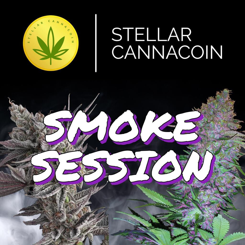PakLonglive's tweet photo. Smoke Session! Comment "puff" for your Canna tip!!! https://t.co/gNzZfZoxH3 #ExplorePakistan https://t.co/igw1zklAnL