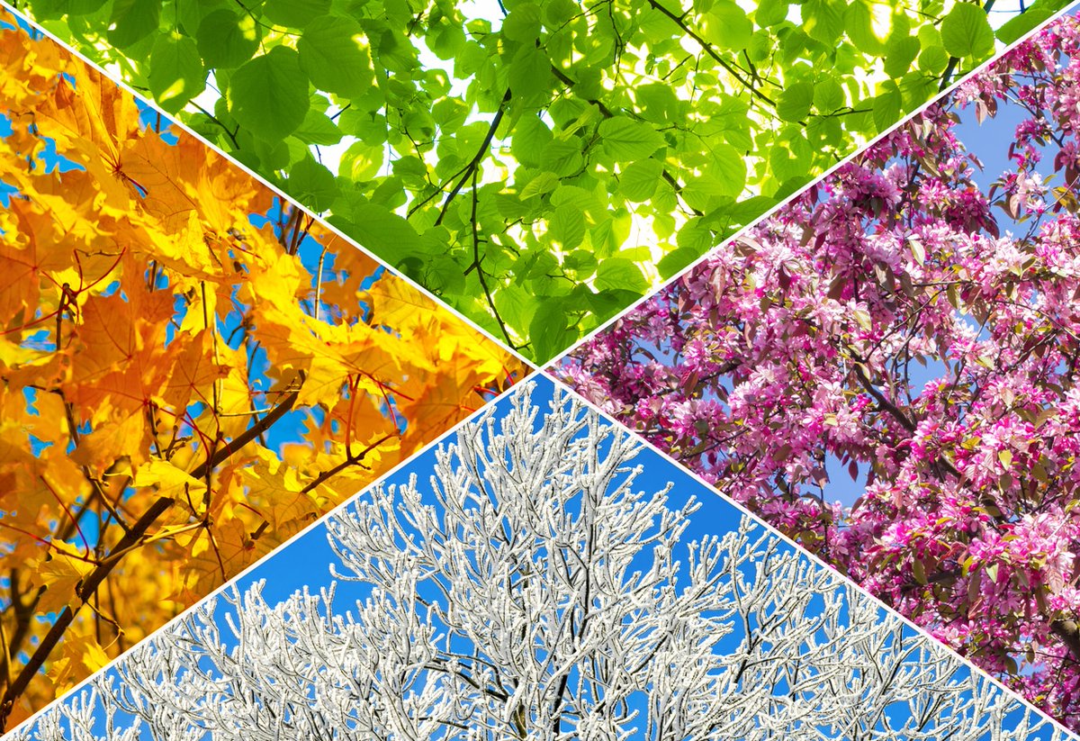 PDXsRealEstate's tweet photo. Best Time of the Year to Sell a Home, 2023 Report https://t.co/m2VsCpD1kF https://t.co/4lunA9q2JD