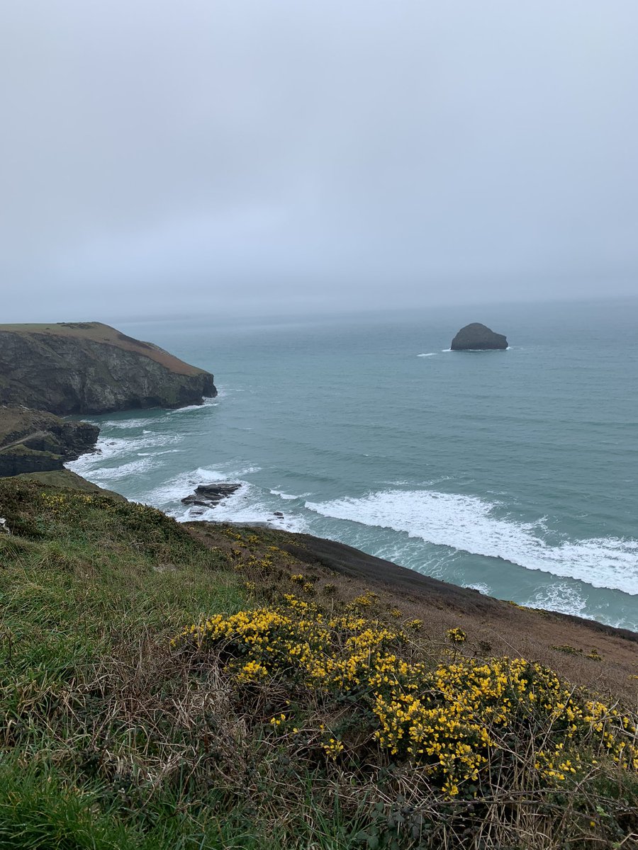 emily_maddox1's tweet image. Monday ☺️

#trebarwithstrand #polzeath #exploringcornwall #always
