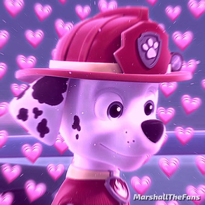 MarshallTheFans's tweet photo. Good night to you and sweet dreams. Thanks everyone for the birthday wishes! I am very pleased, I love you all and hug you very much. Bye! See you tomorrow🐾🫶🏻🥰 #PAWPatrol #Marshall #PawPatrolMarshall #MarshallCute #PawPatrolFandom #MarshallFirePup #PawPatrolFan #LoveMarshall https://t.co/6ovScoV0FF