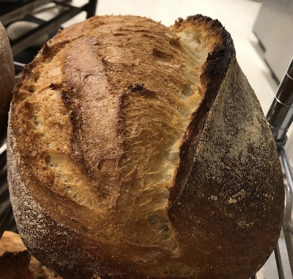 slowfooduk's tweet image. This week is #RealBreadWeek Buy or bake #realbread Bread is so fundamental it appears in all the ancient religions and texts, yet today almost none of the bread we eat in the UK is Real Bread. See more at @RealBread Campaign! Image from real bakers @PeterCooksBread