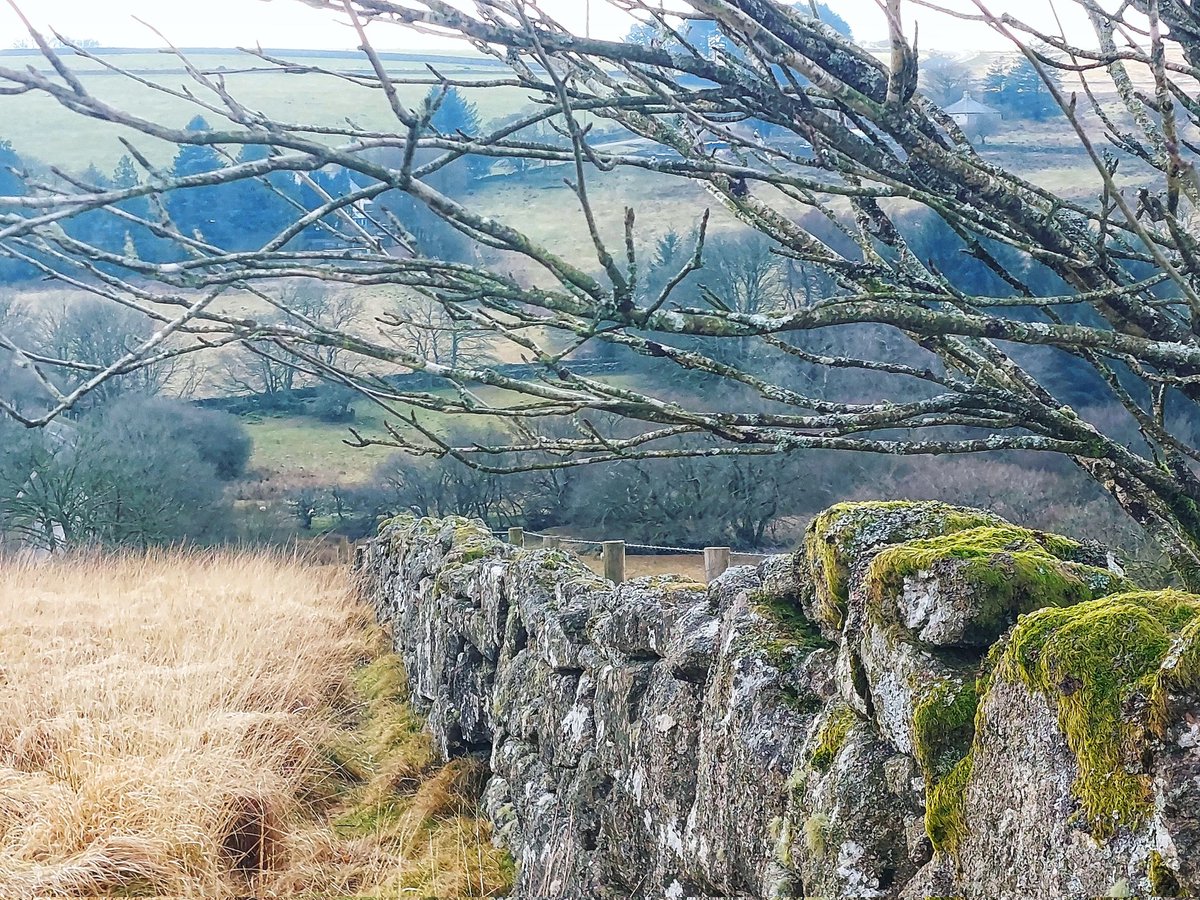 seagerworld's tweet photo. Wandering Wistman's ..... are you all doing ok out there? xx #dartmoor #sdevon https://t.co/NLtRACSkaw