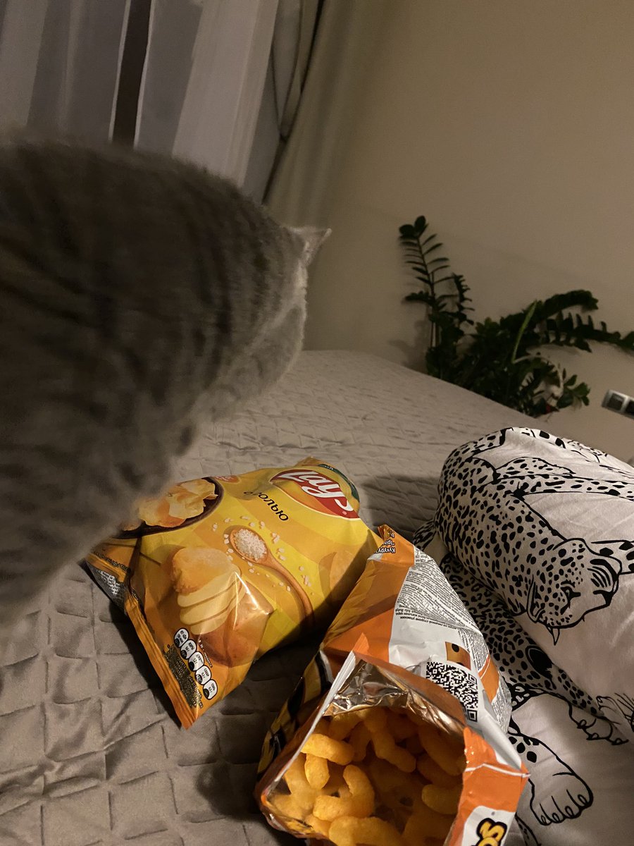 beepmk's tweet image. Непростой день