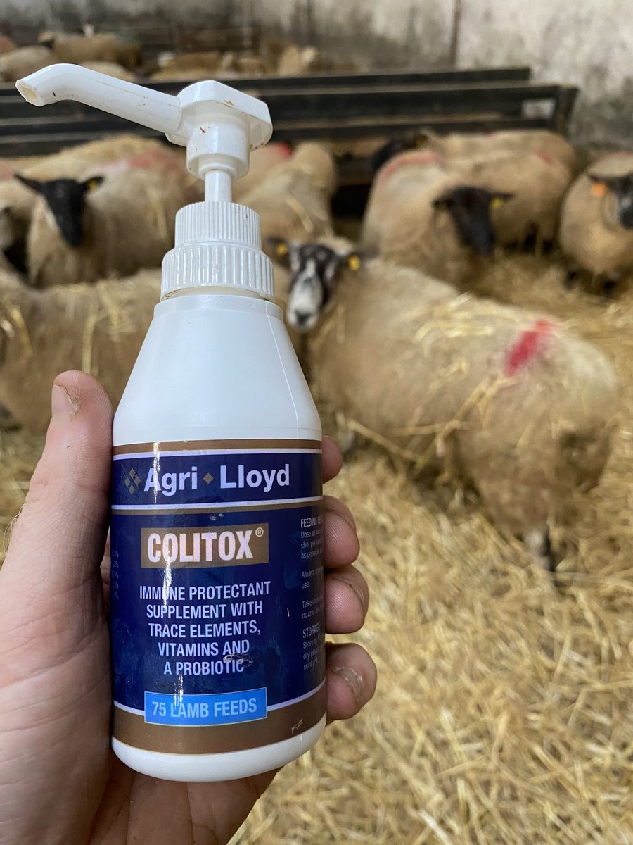 Aaron Ryan tweet media