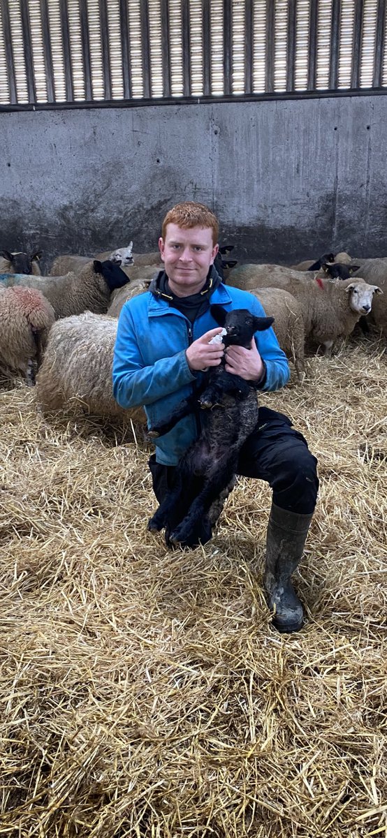 Aaron Ryan tweet media