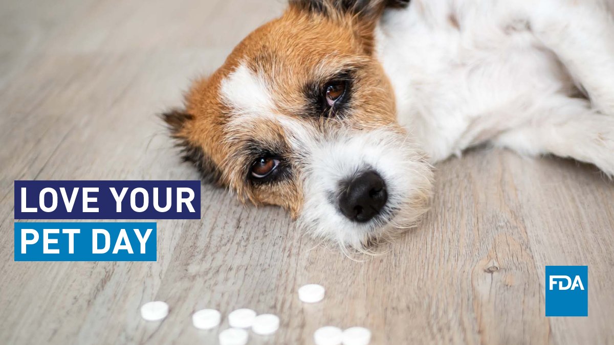 FDADrugs's tweet photo. Unused opioid pain medicines in your home can be dangerous for pets 🐶🐱.

Protect your furry friends by safely disposing of these medicines ➡️ https://t.co/1iJ9LljhPx 

#LoveYourPetDay #RemoveOpioidRisk https://t.co/EHkyv1HZ3K