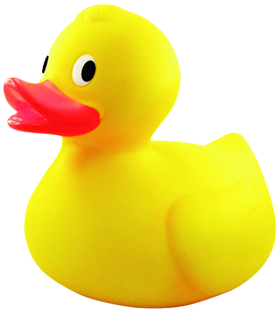 5970Rotary's tweet image. Buy a duck and save the world!  Find information on how to purchase a duck for the "Duck Pluck" at the 2023 District Conference on the District website - district5970.org.