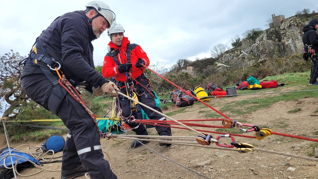 Dublin & Wicklow MRT tweet media