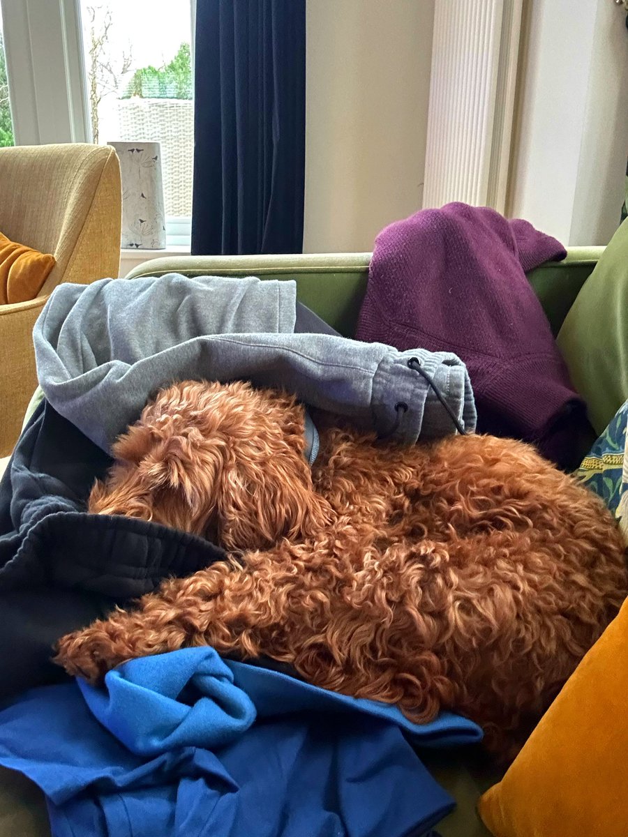 Dan Walker tweet media