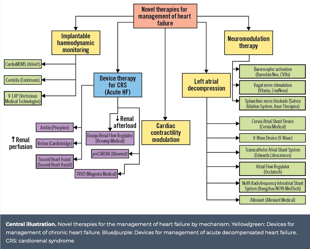 EuroIntervention (@eurointerventio) on Twitter photo 🔉TRANSCATHETER INTERVENTIONS FOR HEART FAILURE - the new EIJ State of the Art by <a href="/azeemlatib/">Azeem Latib</a> , Jozef Bartunek et al. #EAPCI #CARDIOTWITTER #heartfailure ow.ly/JFRl50MX5p1 🔉TRANSCATHETER INTERVENTIONS FOR HEART FAILURE - the new EIJ State of the Art by <a href="/azeemlatib/">Azeem Latib</a> , Jozef Bartunek et al. #EAPCI #CARDIOTWITTER #heartfailure ow.ly/JFRl50MX5p1