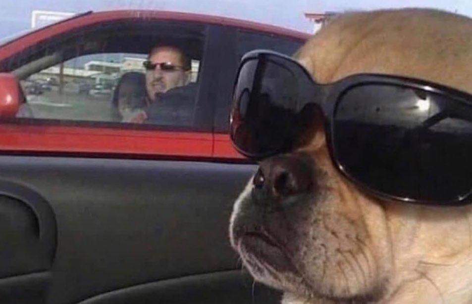 corridosybandas's tweet photo. Yo ignorando el auto a mi lado después de casi chocar contra él. https://t.co/t89hElui7s