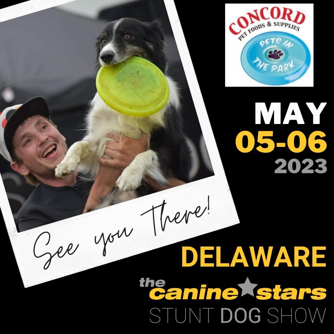 CanineStars's tweet photo. 📢 DELAWARE!!! We'll performing at CONCORD PET FOODS &amp; SUPPLIES on Fri May 5 to Sat May 6, 2023  in Newark , DE! 

https://t.co/N1VoLoaflR https://t.co/haGPCZXq8Z