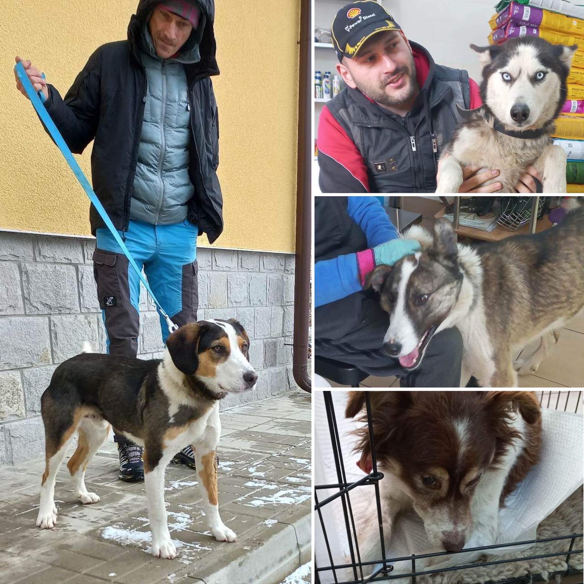 StreetHeartsBG's tweet photo. We will ensure that your dog is spayed / neutered for FREE if you live in #Dryanovo or #Tryavna! All you need to do is call 087 726 0760 in order to arrange an appointment! https://t.co/fWeO982Qw3