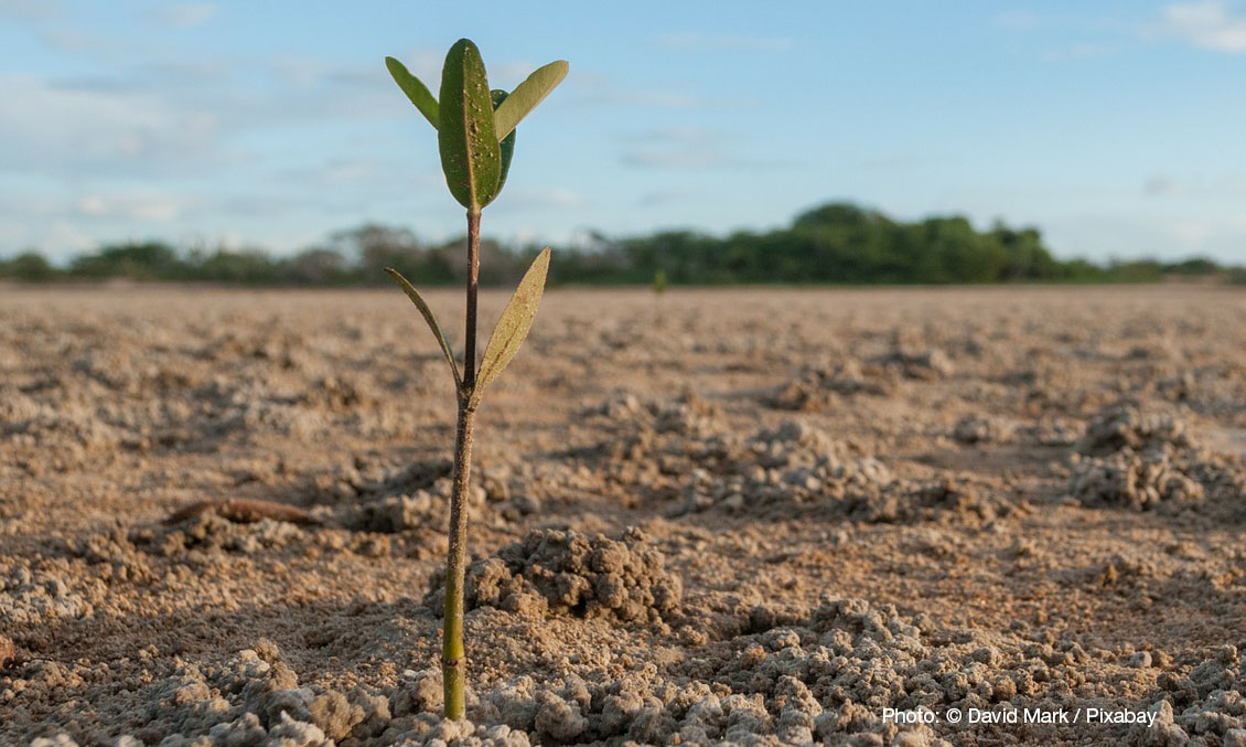 IUCN (@iucn) on Twitter photo 🌳 #NatureBasedSolutions are not just an effective means to address the interlinked #climate and biodiversity crises; they could also generate 20 million jobs.
Learn more in our report with <a href="/ilo/">International Labour Organization</a> and <a href="/UNEP/">UN Environment Programme</a>.
bit.ly/3GTTYwu 🌳 #NatureBasedSolutions are not just an effective means to address the interlinked #climate and biodiversity crises; they could also generate 20 million jobs.
Learn more in our report with <a href="/ilo/">International Labour Organization</a> and <a href="/UNEP/">UN Environment Programme</a>.
bit.ly/3GTTYwu