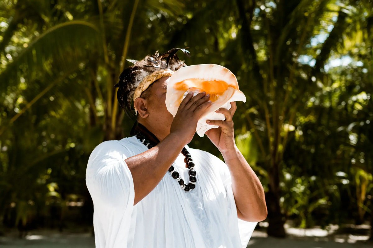 It's a big day for us at The Brando. In addition to our earlier announcement, we are pleased to share with you our brand new website. Come and take a look at this exciting new chapter. TheBrando.com #thebrando #tetiaroa #frenchpolynesia