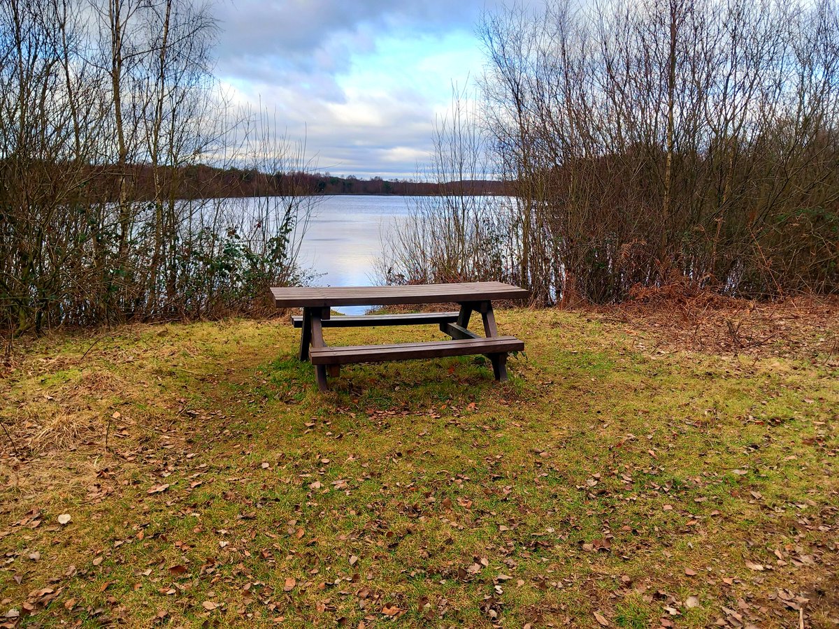 umper_lumpa's tweet photo. @Hudsonweather Steady walk today around Hatfield Moor. https://t.co/anLfOjmNKD