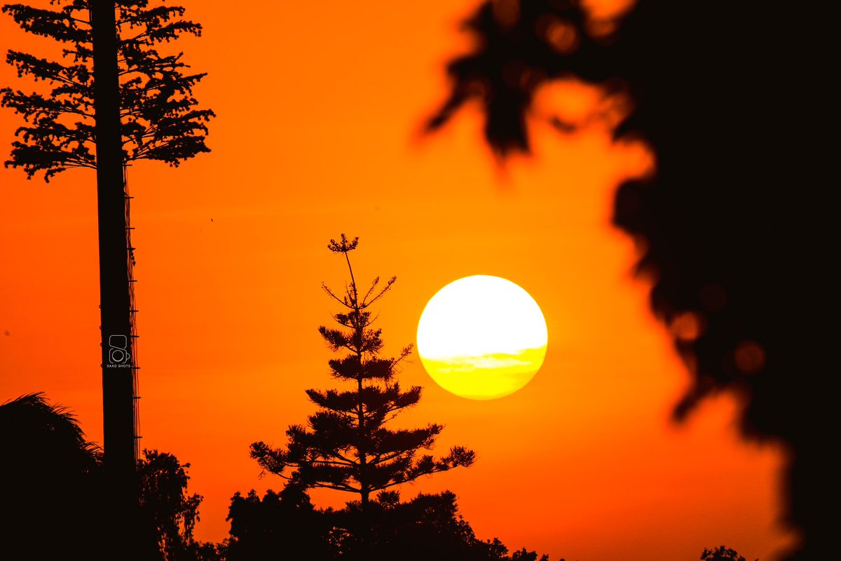 One day such photos (silhouettes ) will be appreciated enough. 

Re- Tweet when this pops up