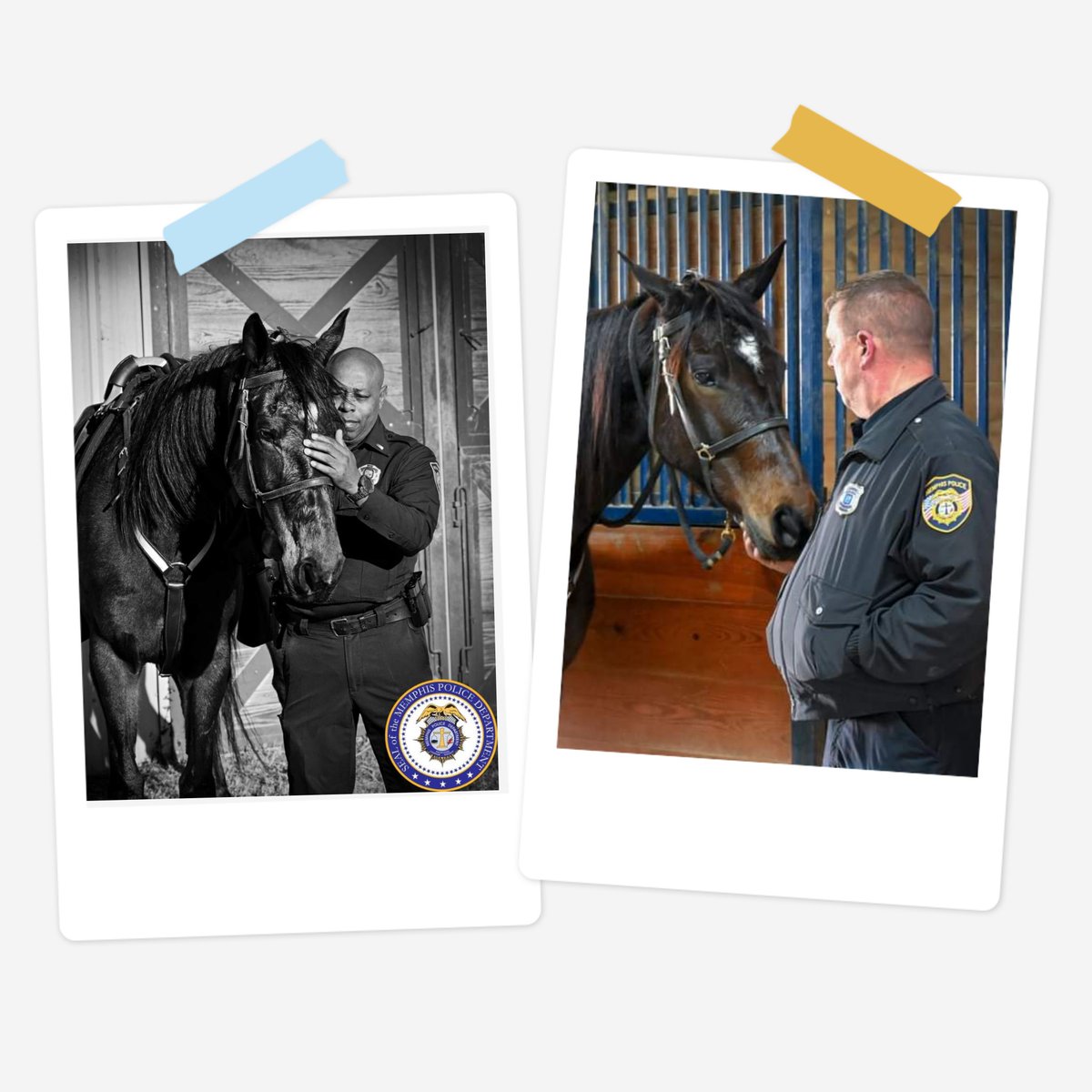 Sometimes our pets are also our partners.....
Join us as we celebrate National Show Your Pet Love Day!

@OURrescue 
@JordanDetectionK9
#OperationUnderGroundRailroad
#JordanDetectionK9
