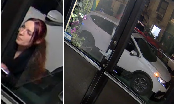 ‼️ WANTED- Arson ‼️ This individual is wanted for an Arson that occurred at Little Prince in SoHo. A Pride flag was burned causing damage to the restaurant and residential building above it. The perpetrator fled in the pictured vehicle. Contact @NYPDTips or 1 800 577-TIPS.