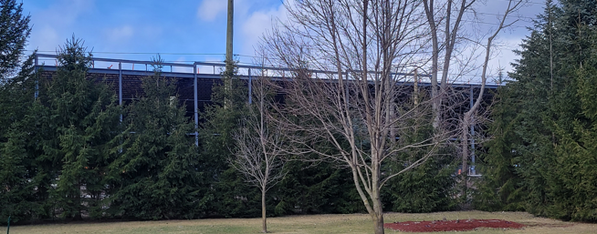 TimJArmstrong's tweet image. The Great Wall of @cityofcambridge councillor Donna Ried by @amazon is now the view from my Back Yard.  Remember current councillors Donna Reid, @HamiltonCbridge and Pam Wolf voted to approve this. They have no regard for the environment or the community of Blair! @BlairEngaged