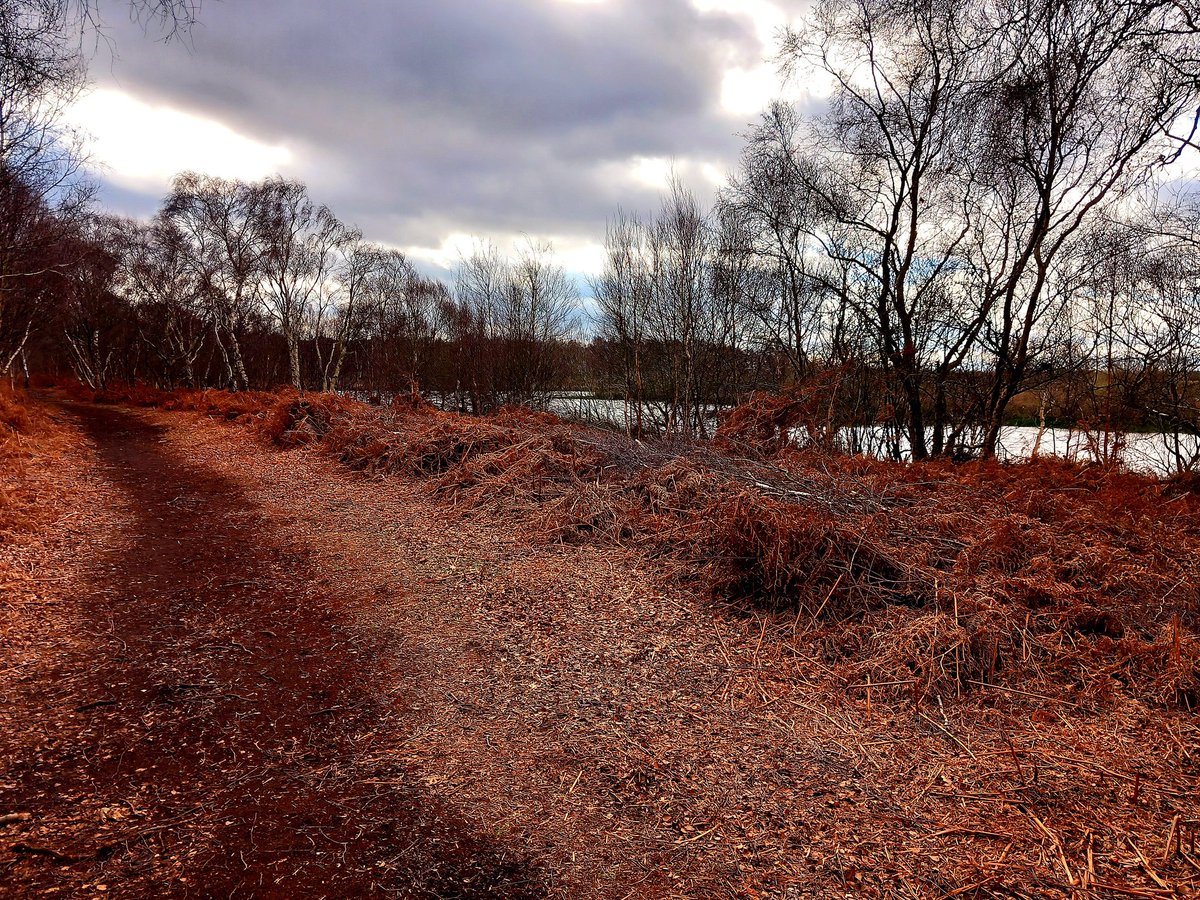 umper_lumpa's tweet photo. @Hudsonweather Steady walk today around Hatfield Moor. https://t.co/anLfOjmNKD