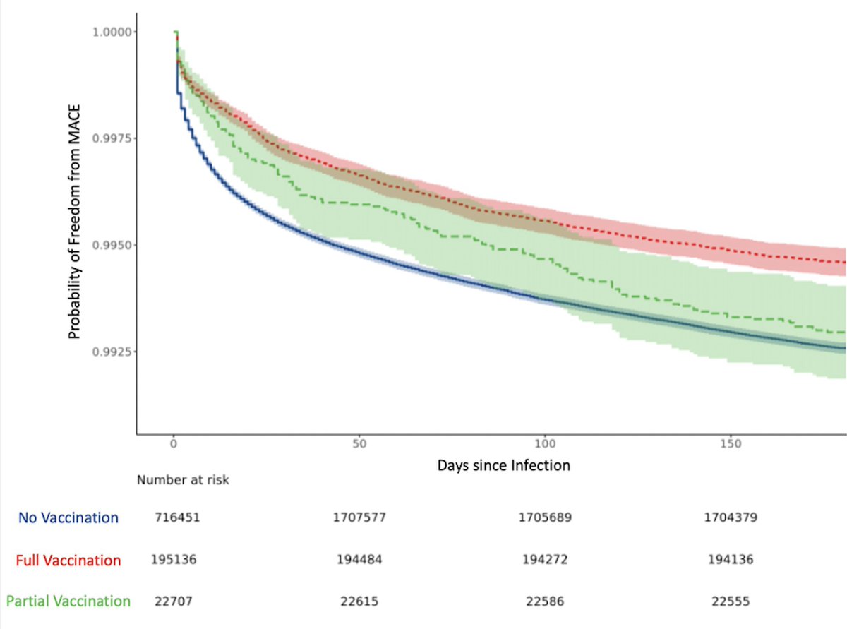 Covid vaccination is associated with significantly reduced incidence of heart attacks and strokes during follow-up. Results of a nationwide @ncats_nih_gov study jacc.org/doi/10.1016/j.… @JACCJournals