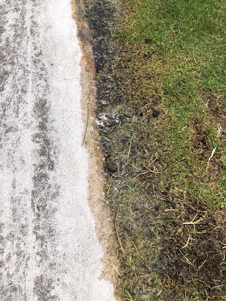 <a href="/aguadequito/">Epmaps - Agua de Quito</a> <a href="/ObrasQuito/">Obras Quito</a> hay una fuga de agua en el parque en la Mariana de Jesús entre Ulloa y America. Una parte del área verde está inundada y el agua corriendo