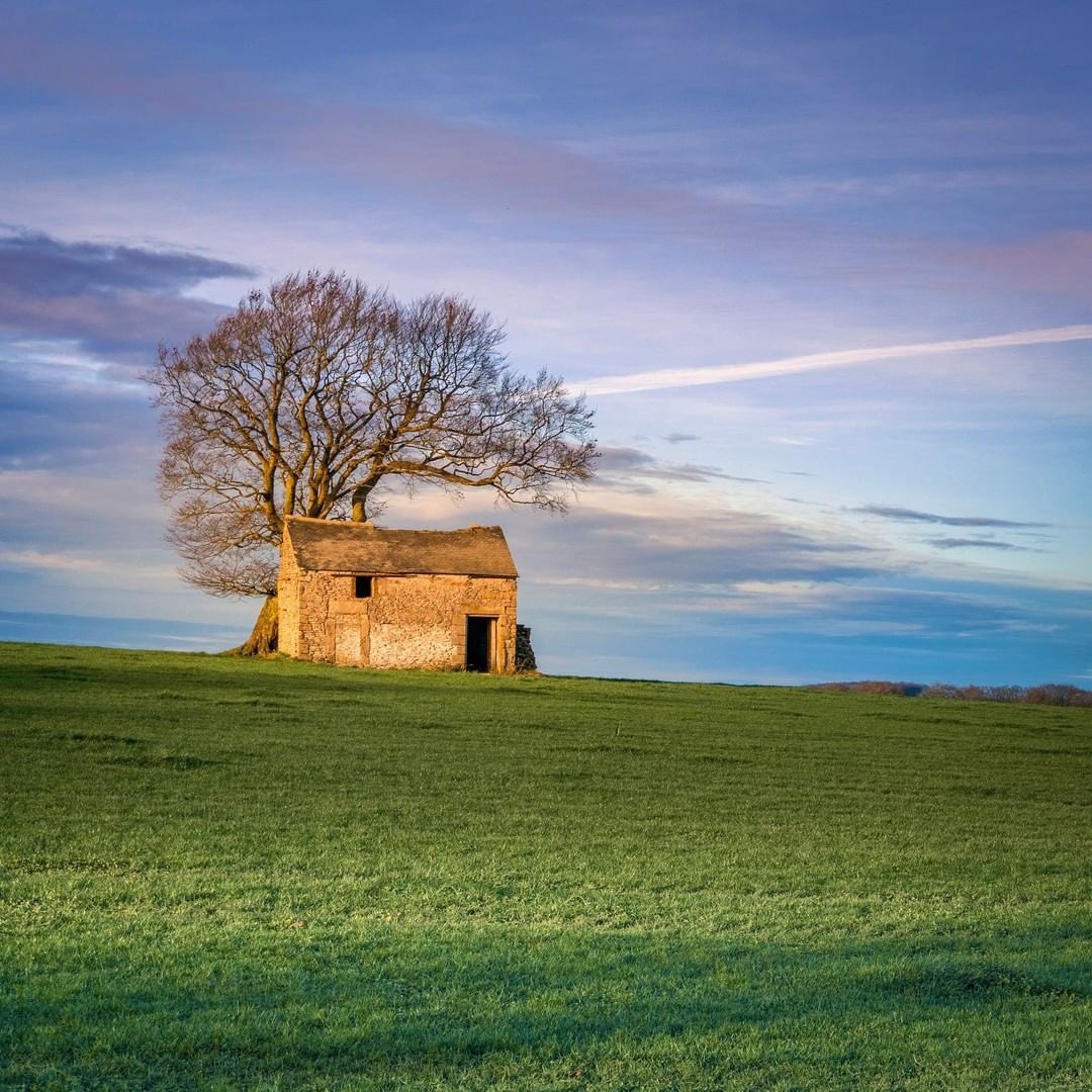peaklass1's tweet photo. The #peakdistrict has many characterful barns crumbling beautifully as the seasons pass, maybe not as weather-tight as once they were but still providing shelter for cattle and wildlife. This one stands alone in its field with only a tree for company, two old survivors. https://t.co/18twsbxLla