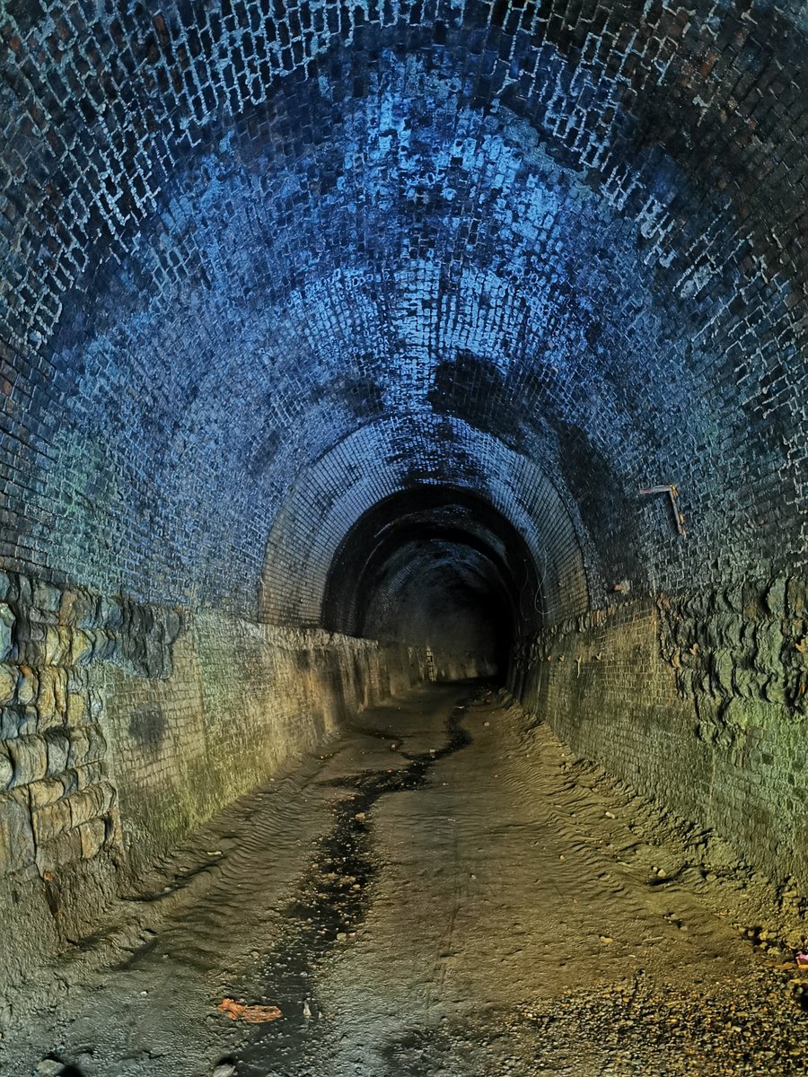 Our walk leaders found a gem this week, hidden under the Heads of the Valleys Road. This area once a hub of industrial activity is now reverting to nature, a place to delight all who find it. #ourpathsourfuture #walkwales