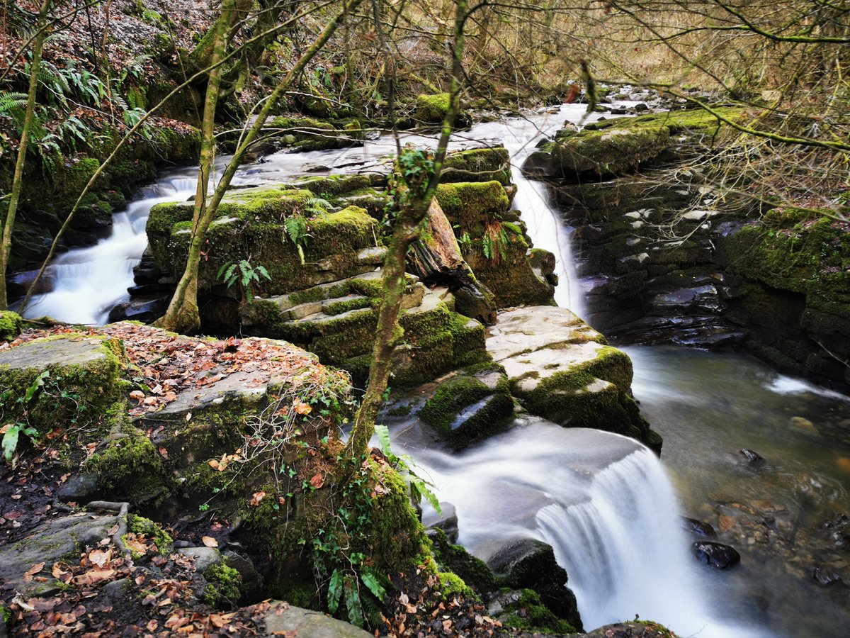 Vale Ramblers tweet media