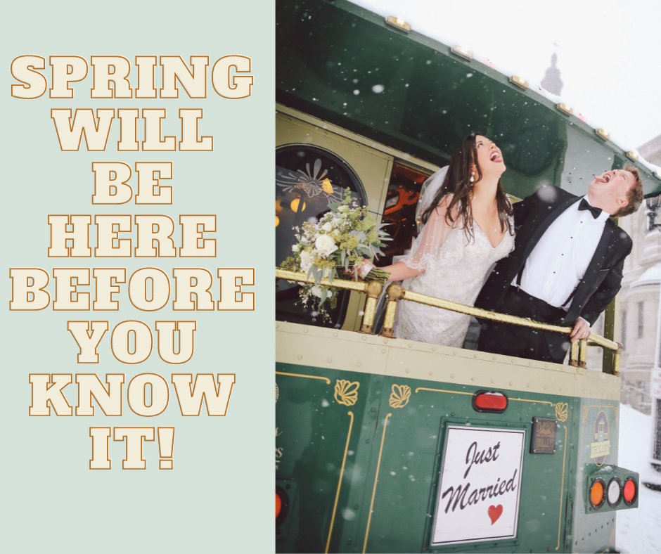 Only 28 days until the beginning of Spring!
317limousines.com