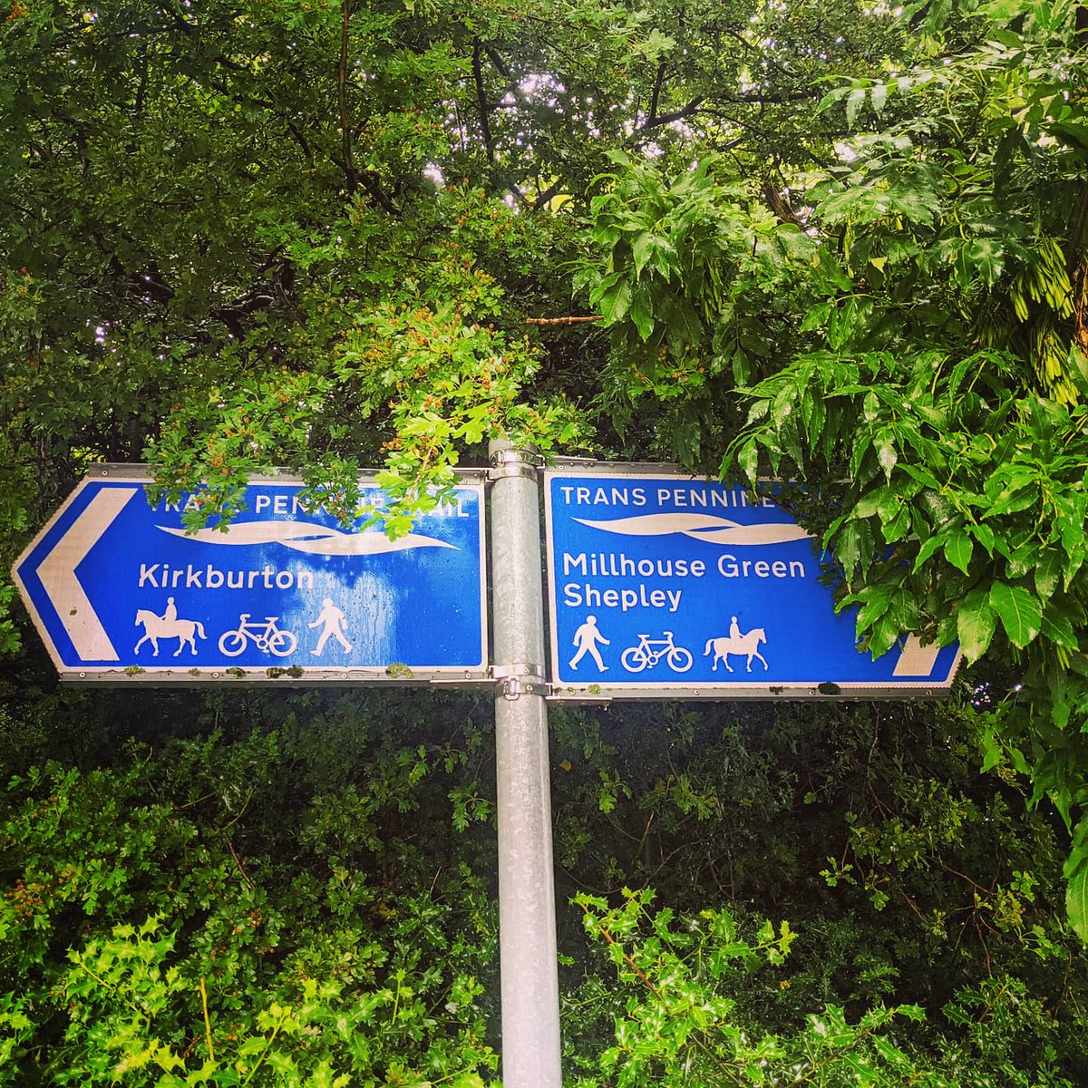 TPT_National's tweet photo. It's #fingerpostfriday 

We love a fingerpost here at TPT HQ so send us in your favourite 👈👉

This one was sent in by Amy Everett and looks lovely with a lush green backdrop.

#fingerposts #directions #navigation #waymarking https://t.co/QfmUyalynW