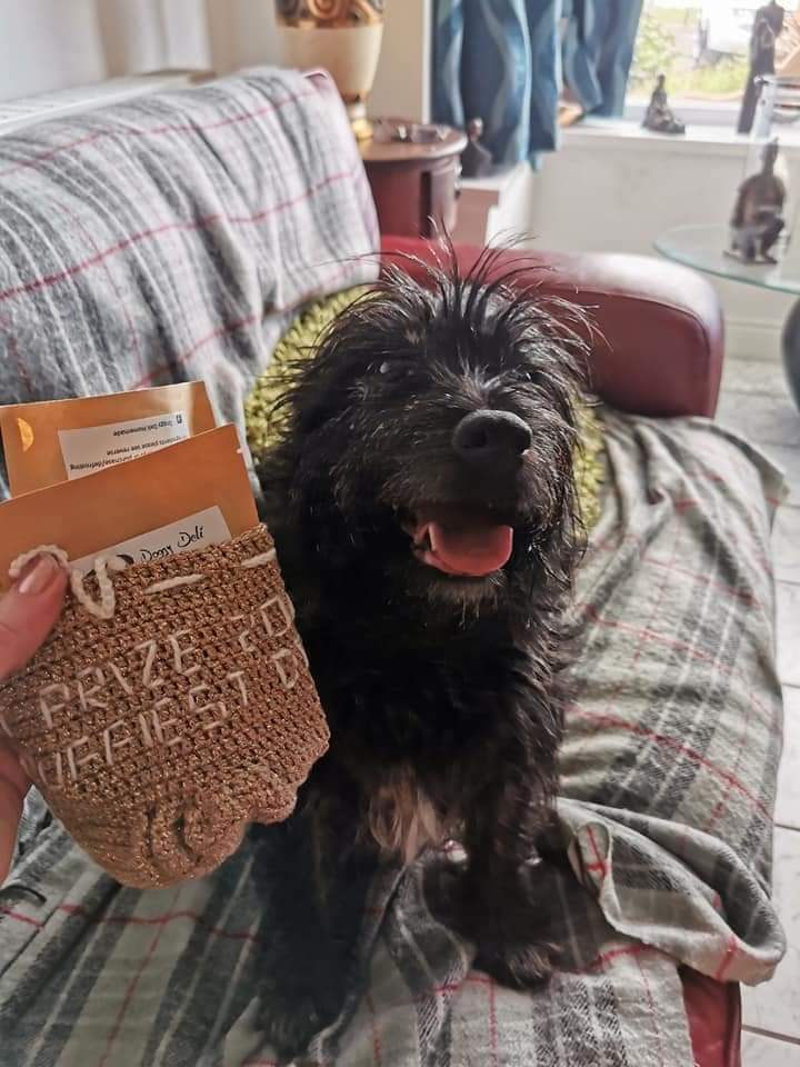 SkillsWellbeing's tweet photo. 📅Today is #LoveYourPetDay 
📷Emily has shared some of her favourite photos of their family pets!
🐶The white dog is Boo and the brown dog is Dougal
😺The black and white cat is Milly and the black cat is Molly!
⭐️We would love to see your pets below! https://t.co/QoIlcVHIIA