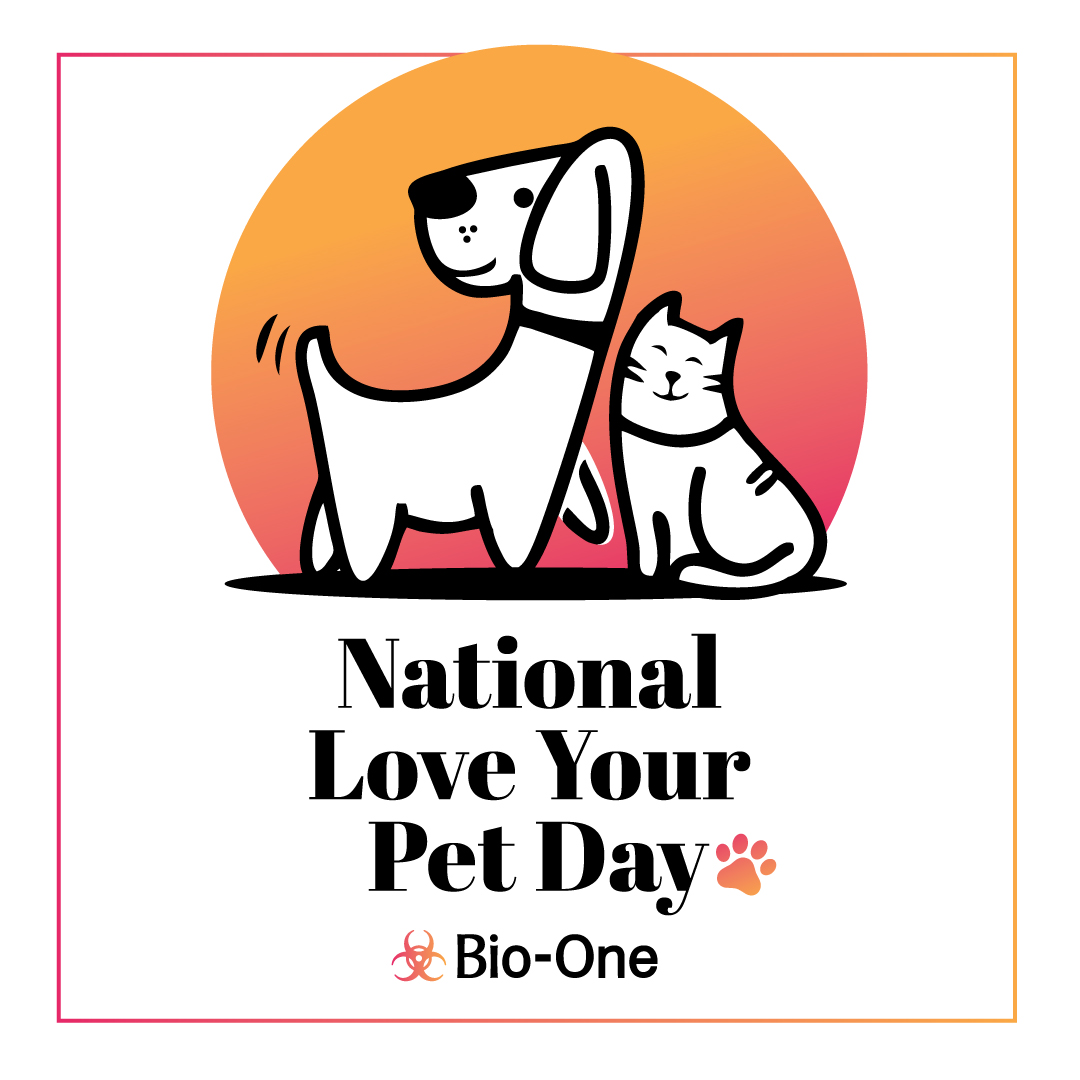 BioOneOrange's tweet image. Wishing all pet owners a very happy National Love Your Pet Day! Let's celebrate this special day with our furry friends and show them some extra love and cuddles! 🐶🐱💛

#bioone #orange #nationalloveyourpetday
