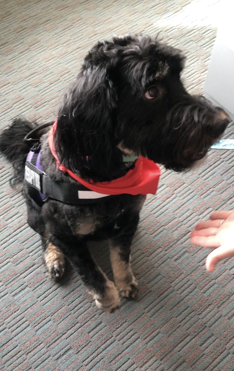 Grateful for the incredible volunteers who brought sunshine to our Spartans' days when they needed it most 💚