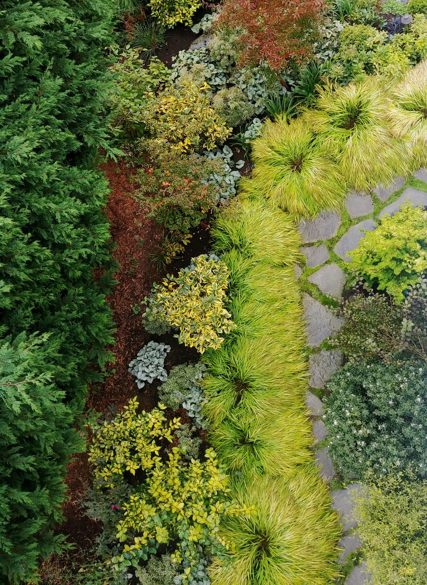 The Peoples Gardening Collective tweet media