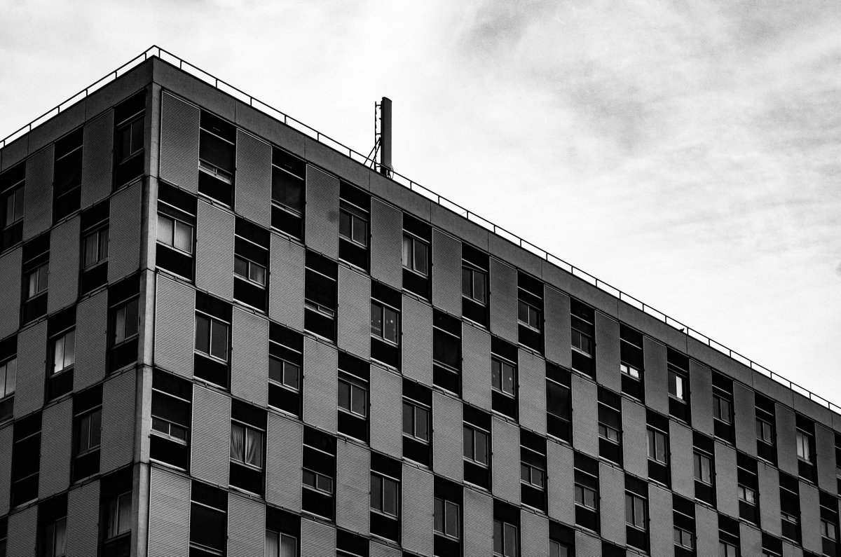 Sylla 🦖 tweet media