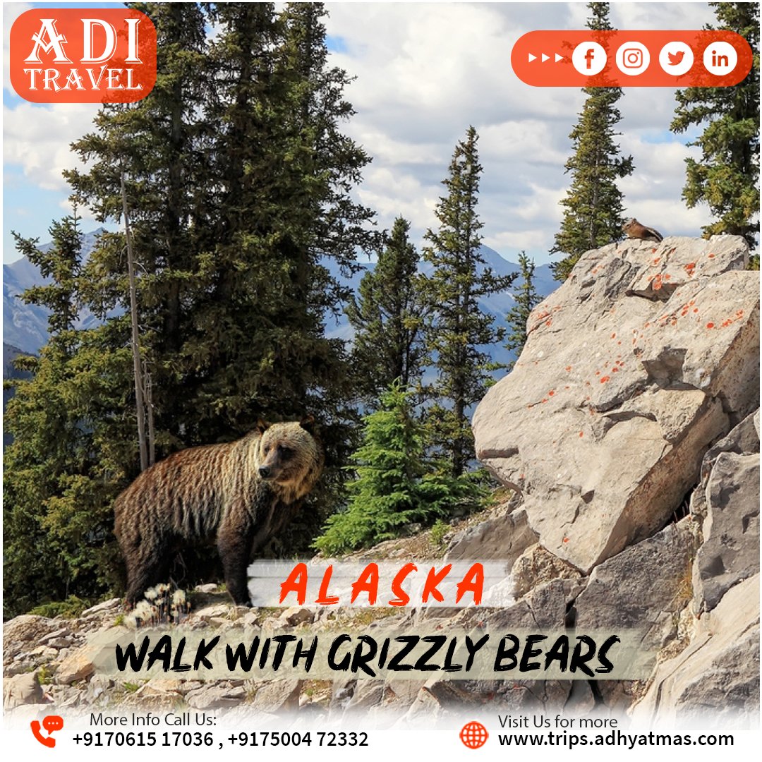 Adhyatmastravel's tweet photo. Top 10 best wildlife holidays in the world....

#dubaitrip #srilankatrip #oman #Vitnam #Maldives #thailand #japantourism #amusementparks #internationaltrip #internationaltravel #internationaltour #beaches #beachescape #beachtrip #sunset #sunsetsky #wildlife #wildlifetrip https://t.co/dRyo7Hv1cZ