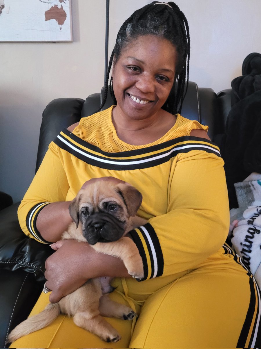 LovingMyLife416's tweet photo. Meet Ace 🐶❤️ https://t.co/Df3wEw1nfp