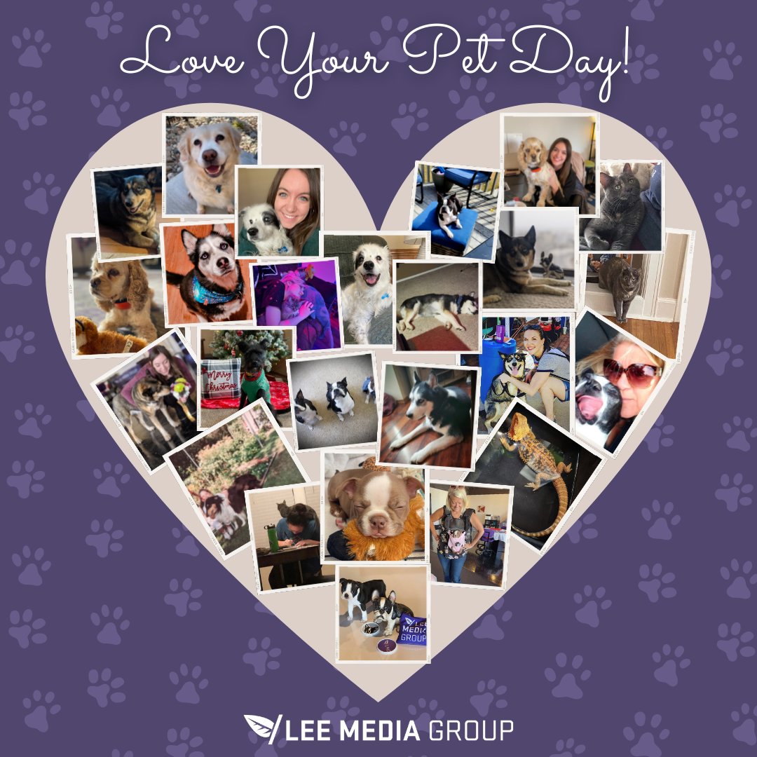 Lee Media Group (@leemediagroup) on Twitter photo Love is a four-legged word and luckily for us, we have plenty of those around! Happy Love Your Pet Day! ❤️❤️❤️
#NationalLoveYourPetDay #loveyourpetday #loveyourpet #leemediagroup #digitalmarketing #marketing Love is a four-legged word and luckily for us, we have plenty of those around! Happy Love Your Pet Day! ❤️❤️❤️
#NationalLoveYourPetDay #loveyourpetday #loveyourpet #leemediagroup #digitalmarketing #marketing