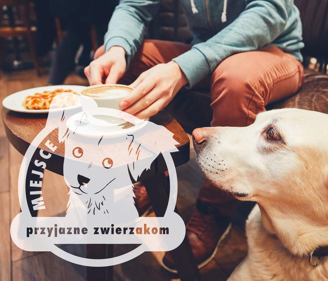 IdeaKielce's tweet photo. Nowy serwis na IDEA KIELCE🐶🐱🐰
W Kielcach tworzymy sieć miejsc, do których opiekunowie zwierząt będą mogli przychodzić ze swoimi pupilami. Do udziału w akcji mogą zgłaszać się kieleckie lokale gastronomiczne, sklepy, instytucje kultury oraz zarządcy innych miejsc 
#ideakielce https://t.co/DDrvPWyhtj