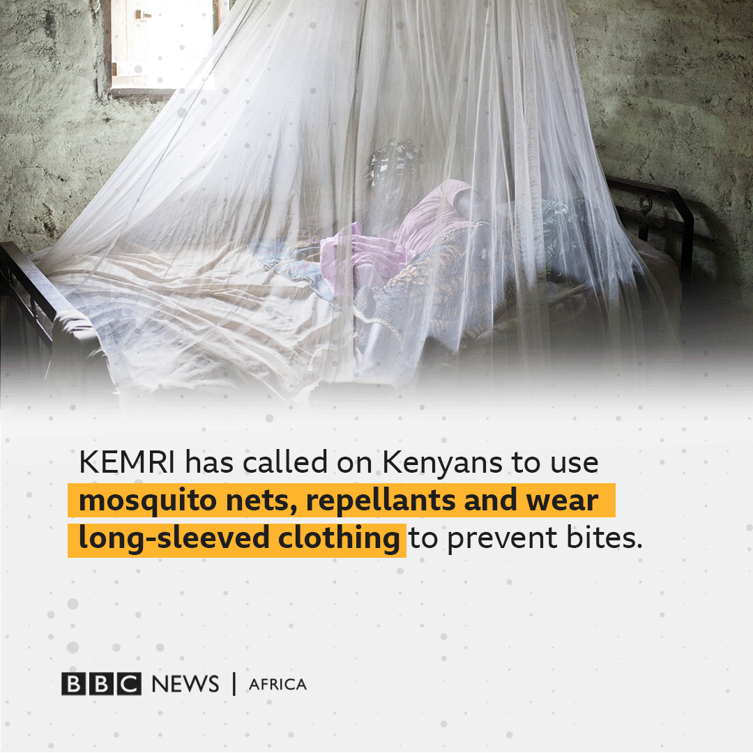 Kenya Medical Research Institute on Twitter "RT BBCAfrica Research