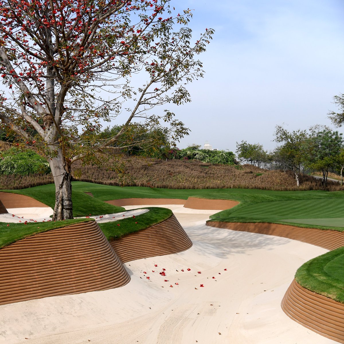 DPWorldTour's tweet photo. The bunkers this week at DLF Golf &amp; Country Club 😍

#HIO2023 https://t.co/aoW3eBm9aj