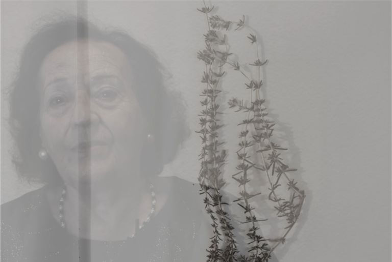 ⚫️Llíria dedicarà un memorial a les víctimes del franquisme durant la Guerra civil, la repressió i la dictadura
comarcalcv.com/lliria-dedicar…