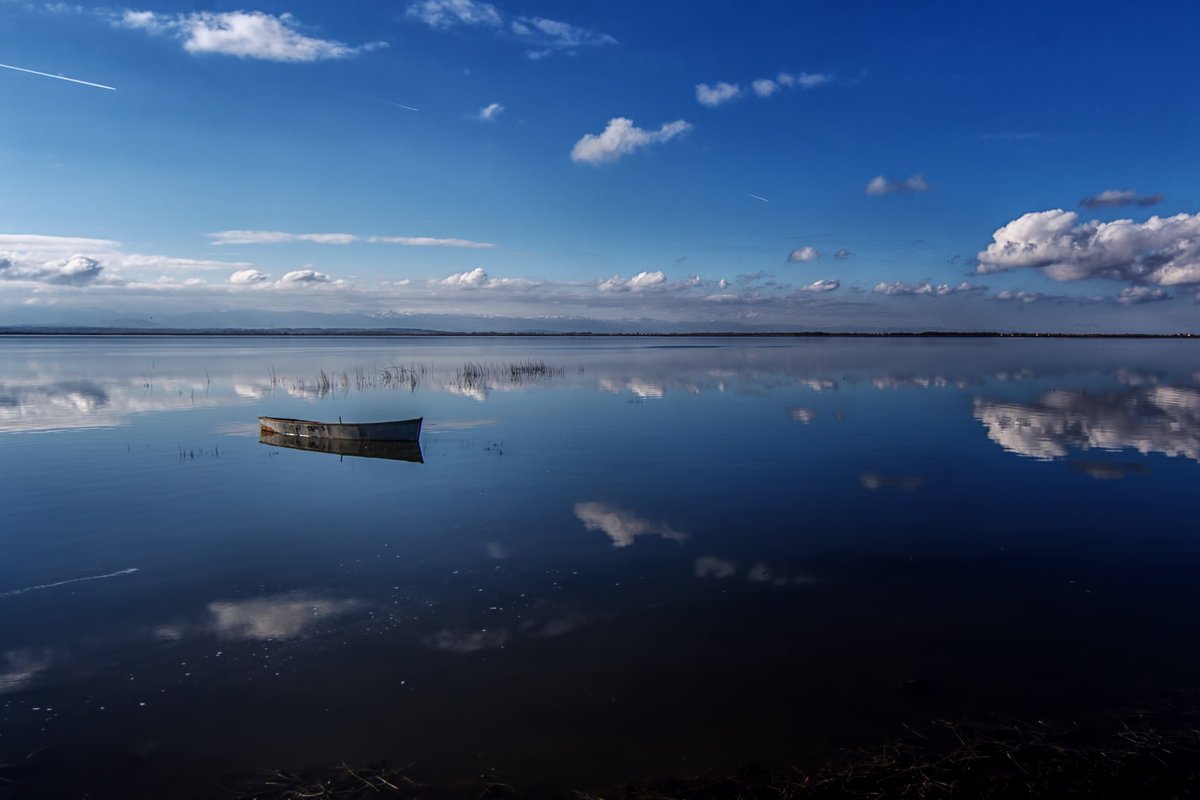 All the money from the sale of these 4 works will go to 
<a href="/ahbap/">Ahbap</a> for #TurkeyEarthquake victims... ❤️

You can reach from links 👇

Fish in the net : SOLD OUT
Train : 7/10 - 0.2 Sol
Pure : 6/10 - 0.5 Sol
Blue infinity : 13/15 - 3 xtz

formfunction.xyz/@mustafaerbas
objkt.com/asset/KT1TcK7p…