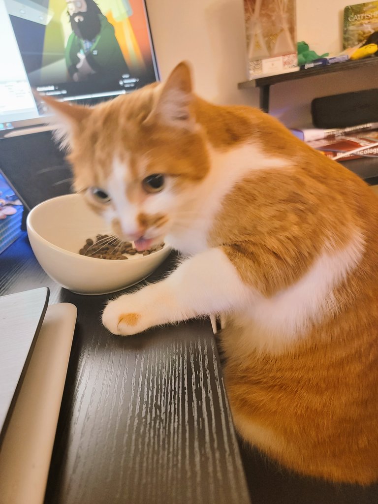 mp-weepingsnakes-eth-tez-on-twitter-morning-friends-and-happy