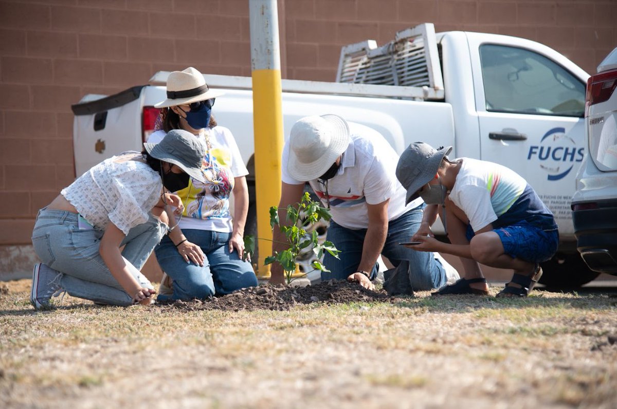 Además de actividades para la conservación del medio ambiente, reducimos nuestra huella de carbono y trabajamos en actividades con comunidades de forma local en cada subsidiaria.